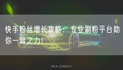 快手粉丝增长攻略：专业刷粉平台助你一臂之力！