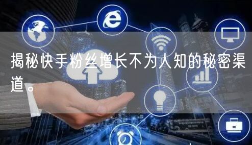 揭秘快手粉丝增长不为人知的秘密渠道。