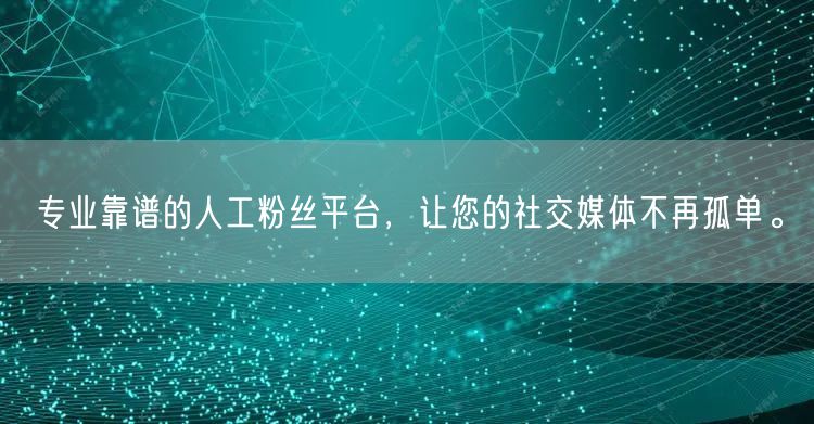 专业靠谱的人工粉丝平台，让您的社交媒体不再孤单。