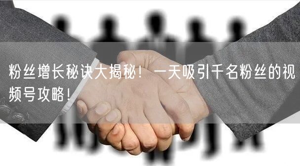 粉丝增长秘诀大揭秘！一天吸引千名粉丝的视频号攻略！