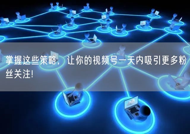 掌握这些策略，让你的视频号一天内吸引更多粉丝关注!