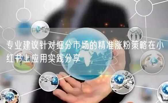 专业建议针对细分市场的精准涨粉策略在小红书上应用实践分享