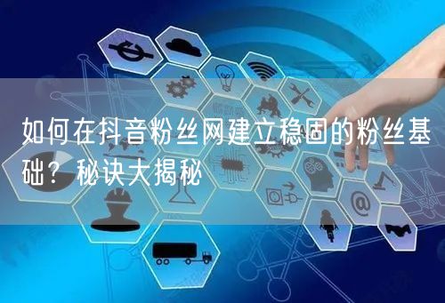 如何在抖音粉丝网建立稳固的粉丝基础？秘诀大揭秘