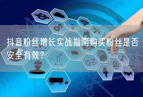 抖音粉丝增长实战指南购买粉丝是否安全有效？