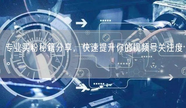 专业买粉秘籍分享，快速提升你的视频号关注度。