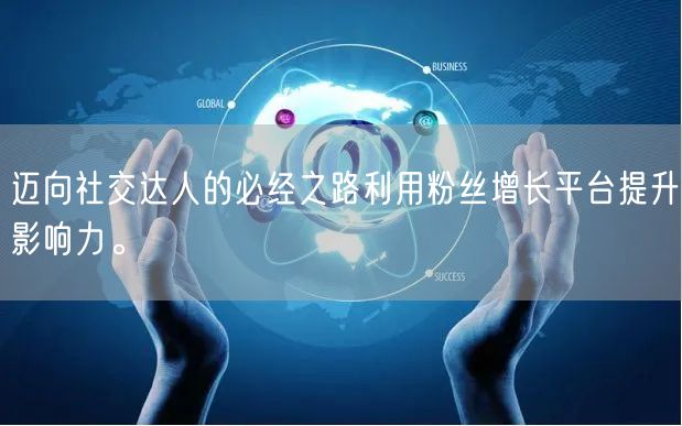 迈向社交达人的必经之路利用粉丝增长平台提升影响力。