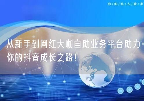 从新手到网红大咖自助业务平台助力你的抖音成长之路！