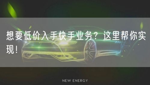 想要低价入手快手业务？这里帮你实现！